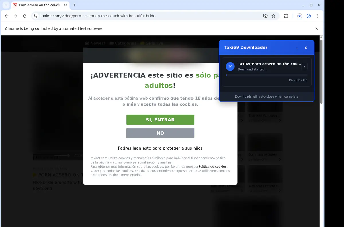 Taxi 69 Video Downloader browser extension screenshot 2