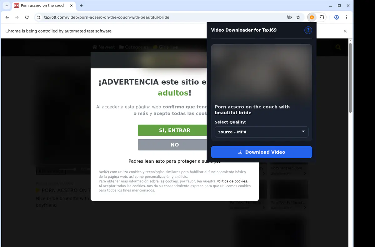 Taxi 69 Video Downloader browser extension screenshot 3